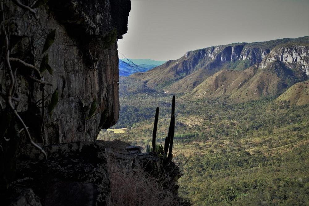 Alto Paraíso de Goiás Mariri Jungle Lodge מראה חיצוני תמונה