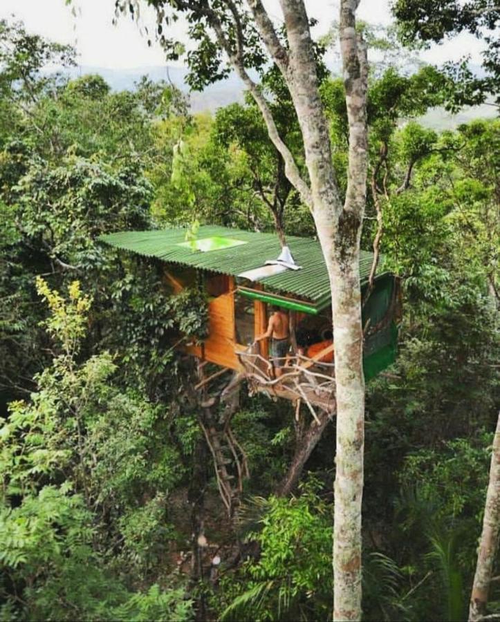 Alto Paraíso de Goiás Mariri Jungle Lodge מראה חיצוני תמונה