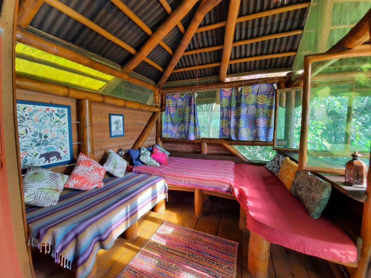 Alto Paraíso de Goiás Mariri Jungle Lodge מראה חיצוני תמונה