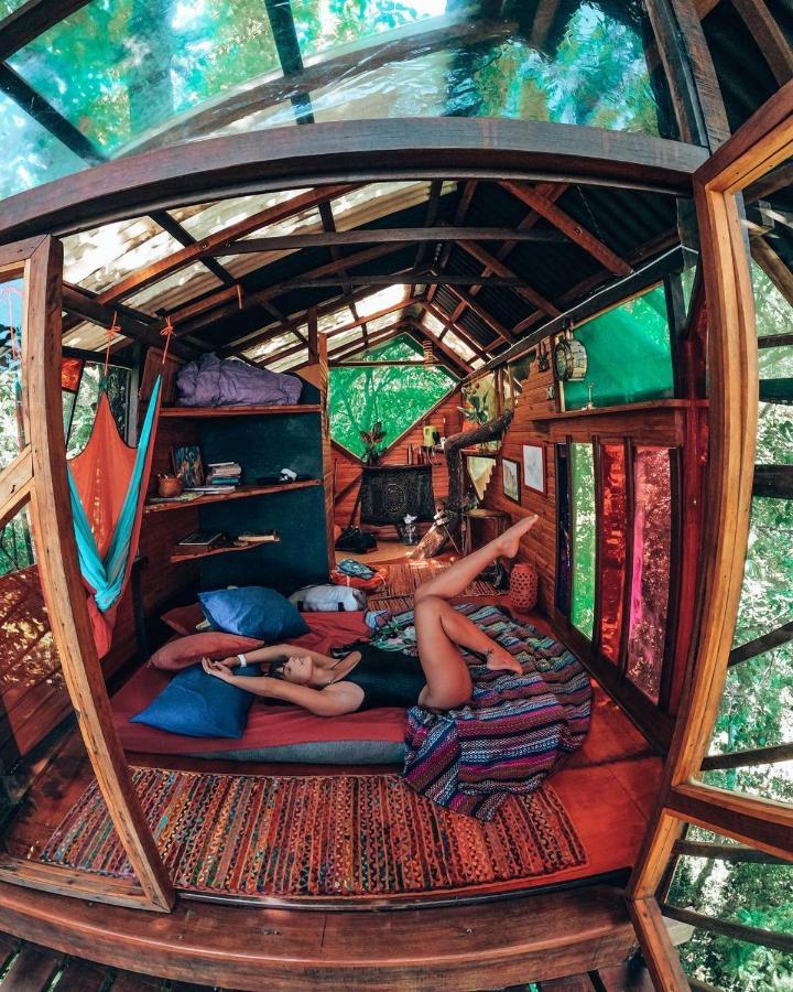 Alto Paraíso de Goiás Mariri Jungle Lodge מראה חיצוני תמונה