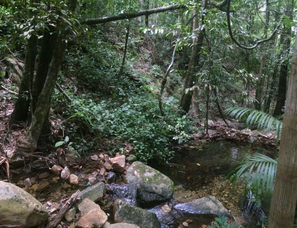 Alto Paraíso de Goiás Mariri Jungle Lodge מראה חיצוני תמונה