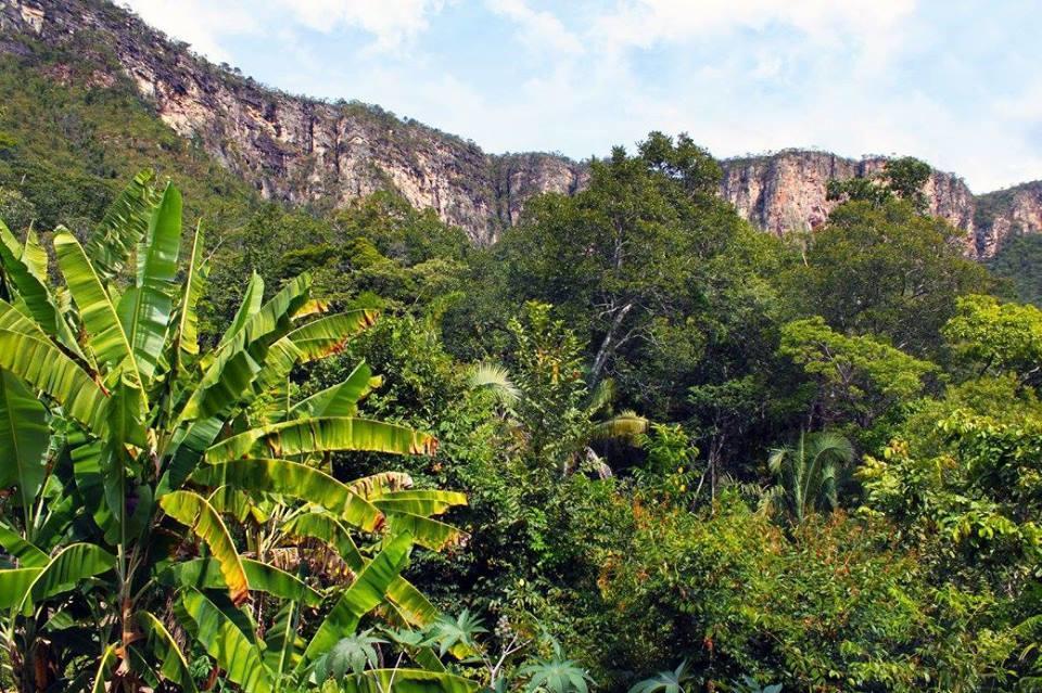Alto Paraíso de Goiás Mariri Jungle Lodge מראה חיצוני תמונה