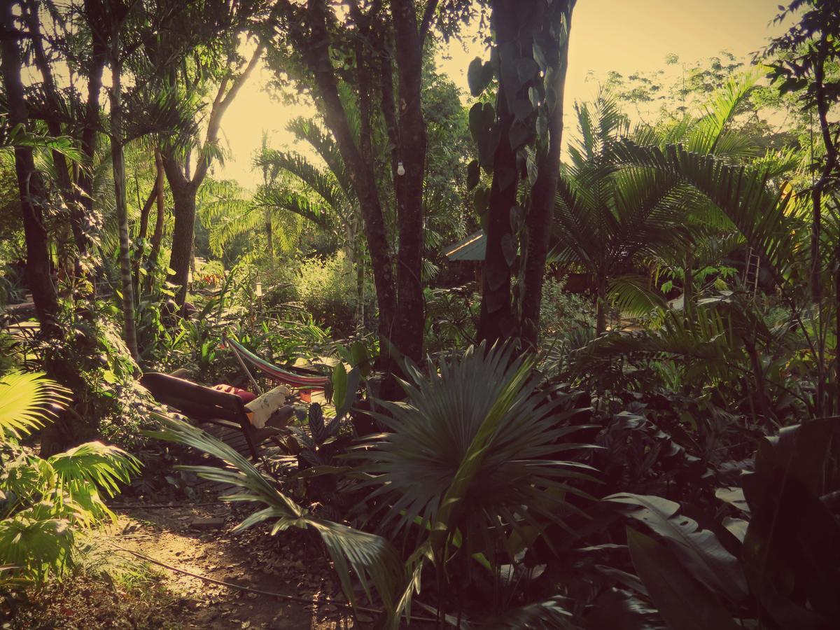 Alto Paraíso de Goiás Mariri Jungle Lodge מראה חיצוני תמונה