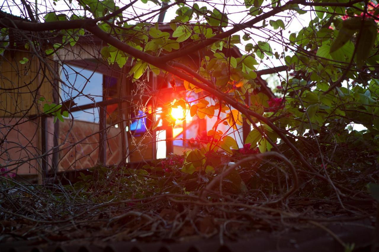 Alto Paraíso de Goiás Mariri Jungle Lodge מראה חיצוני תמונה