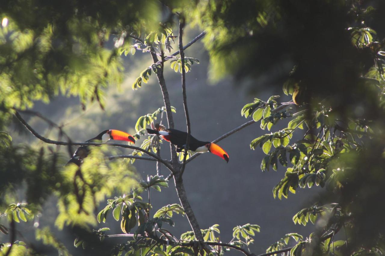 Alto Paraíso de Goiás Mariri Jungle Lodge מראה חיצוני תמונה