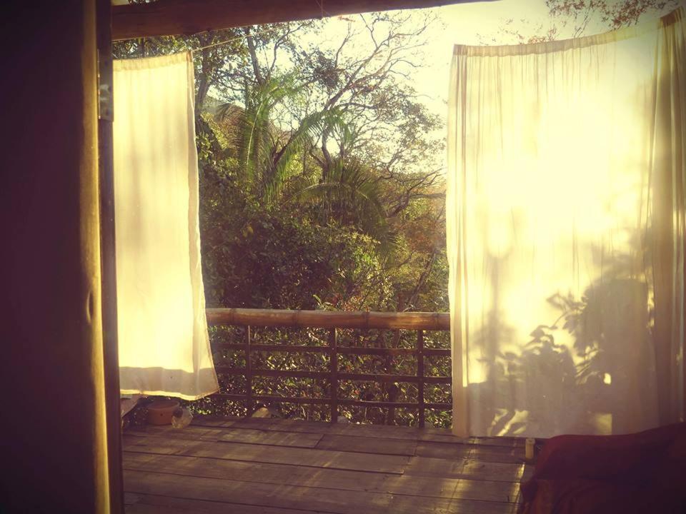 Alto Paraíso de Goiás Mariri Jungle Lodge מראה חיצוני תמונה